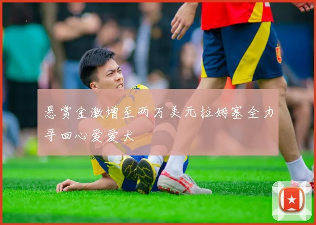 悬赏金激增至两万美元拉姆塞全力寻回心爱爱犬