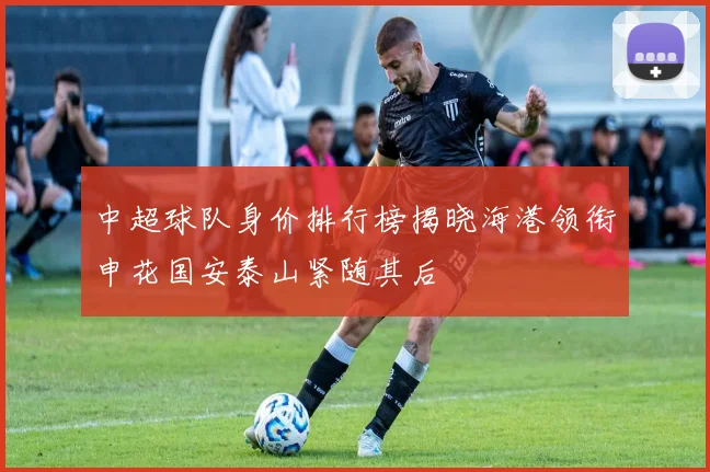 中超球队身价排行榜揭晓海港领衔申花国安泰山紧随其后